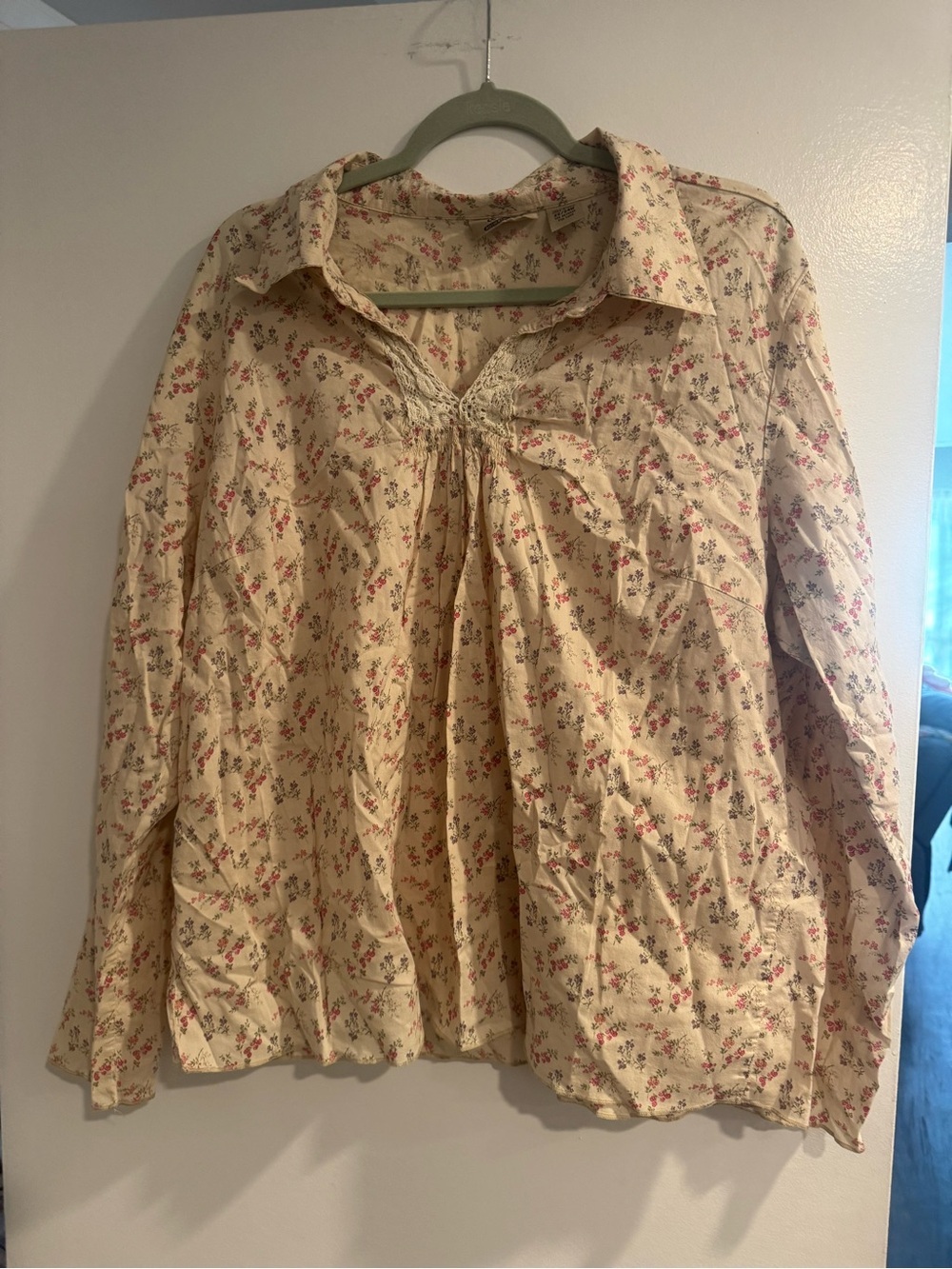 At Last & Co Cottagecore Floral Lace Trim Blouse 22/24W Plus Size 100% Cotton